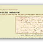 Bierregelgeving in Nieuw-Amsterdam