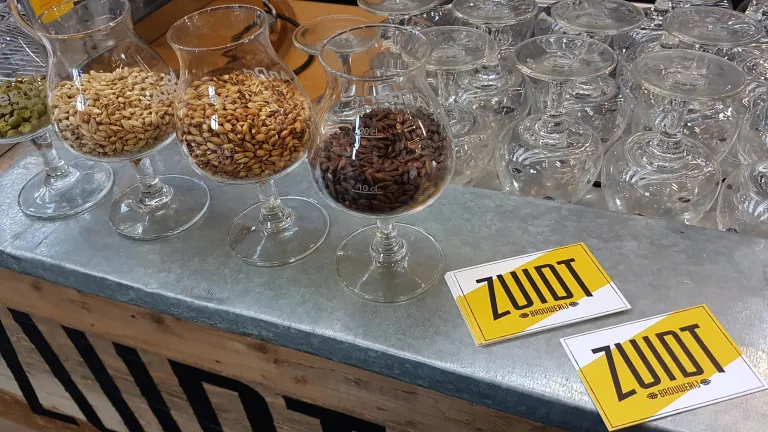 Brouwerij Zuidt