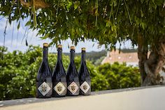 Gerard van den Broek Hertog Jan