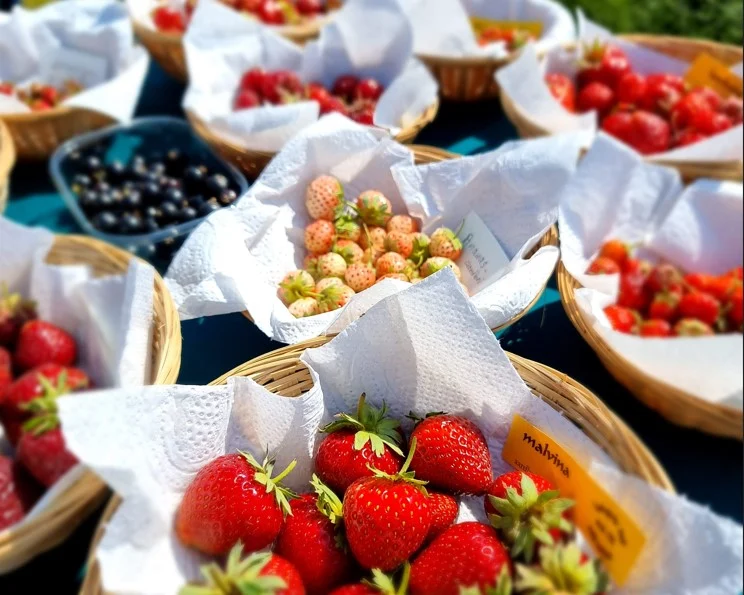 bier, gastronomie, Château Neercanne, Zuyd Craft, Raymond Remmen, Bas Jacob, Oostwegel Collection, Limburg