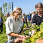 Gulpener jubileumboek