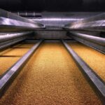 mout bier The Swaen Kloosterzande