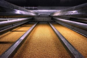 mout bier The Swaen Kloosterzande