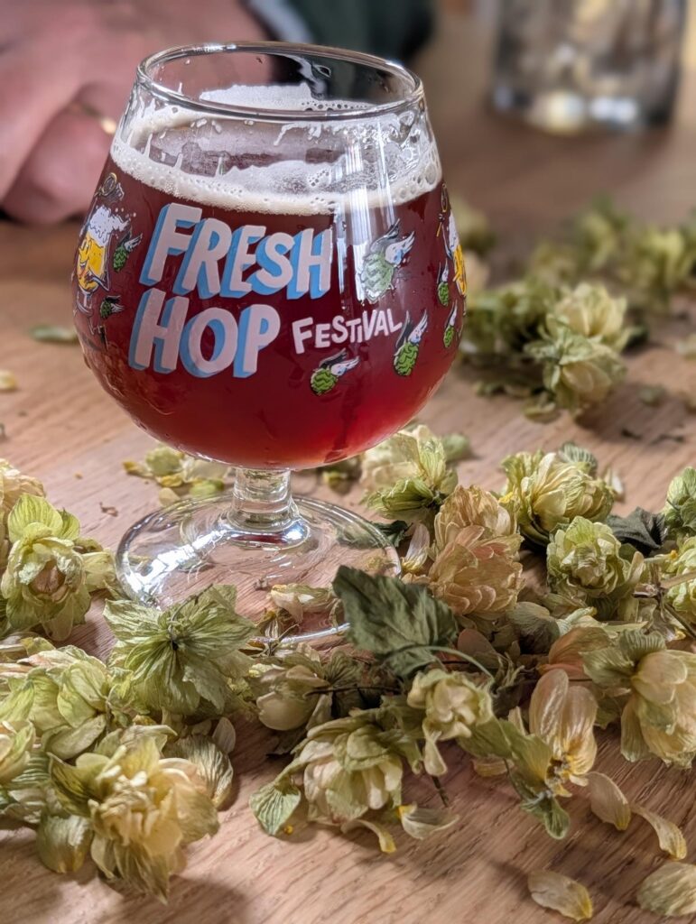 Hop Ode Henri Reuchlin